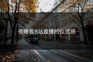 夜晚看B站直播的仪式感