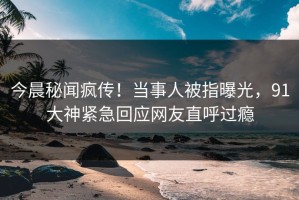 今晨秘闻疯传！当事人被指曝光，91大神紧急回应网友直呼过瘾