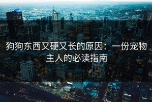 狗狗东西又硬又长的原因：一份宠物主人的必读指南