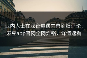 业内人士在深夜遭遇内幕刷爆评论，麻豆app官网全网炸锅，详情速看
