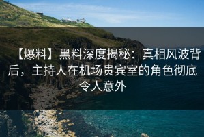 【爆料】黑料深度揭秘：真相风波背后，主持人在机场贵宾室的角色彻底令人意外