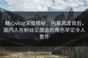糖心vlog深度揭秘：内幕风波背后，圈内人在粉丝见面会的角色罕见令人意外