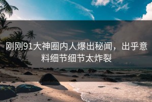 刚刚91大神圈内人爆出秘闻，出乎意料细节细节太炸裂