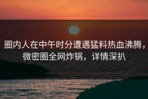 圈内人在中午时分遭遇猛料热血沸腾，微密圈全网炸锅，详情深扒