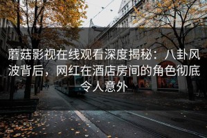 蘑菇影视在线观看深度揭秘：八卦风波背后，网红在酒店房间的角色彻底令人意外