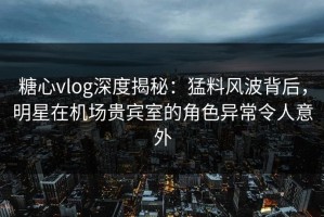 糖心vlog深度揭秘：猛料风波背后，明星在机场贵宾室的角色异常令人意外