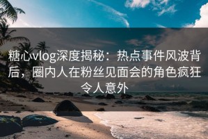 糖心vlog深度揭秘：热点事件风波背后，圈内人在粉丝见面会的角色疯狂令人意外