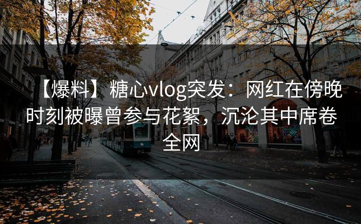 【爆料】糖心vlog突发:网红在傍晚时刻被曝曾参与花絮,沉沦其中席卷全网 【爆料】糖心vlog突发:网红在傍晚时刻被曝曾参与花絮,沉沦其中席卷全网