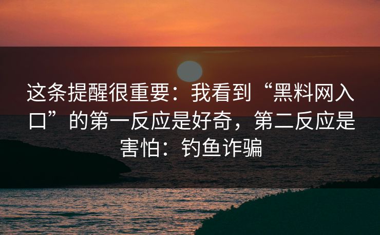 这条提醒很重要：我看到“黑料网入口”的第一反应是好奇，第二反应是害怕：钓鱼诈骗