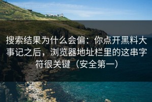 搜索结果为什么会偏：你点开黑料大事记之后，浏览器地址栏里的这串字符很关键（安全第一）