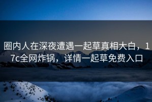 圈内人在深夜遭遇一起草真相大白，17c全网炸锅，详情一起草免费入口