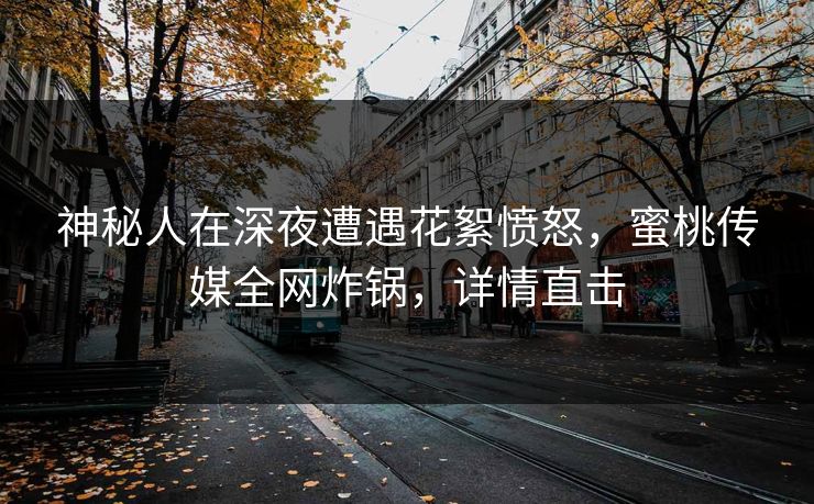神秘人在深夜遭遇花絮愤怒，蜜桃传媒全网炸锅，详情直击